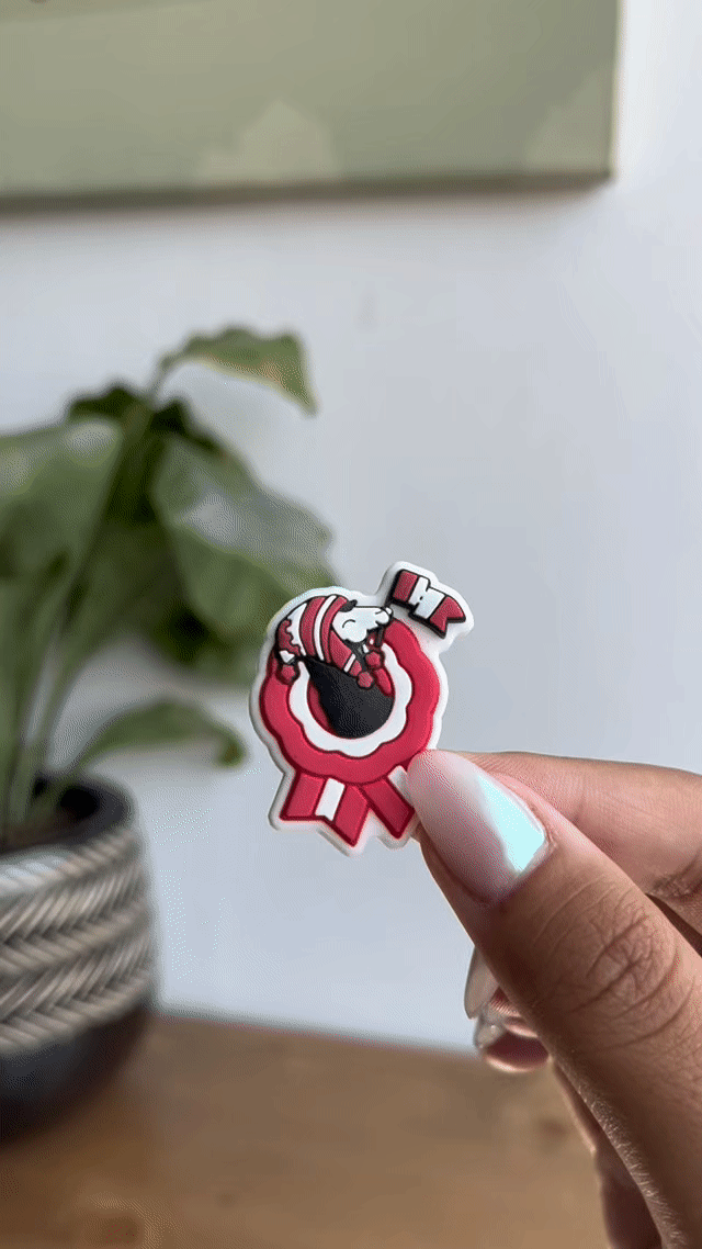 Pin plastico Escarapela