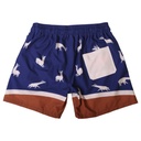 Boardshort Hombre Ari mosaico azul