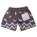 Boardshort Hombre Churi zigzag tierra