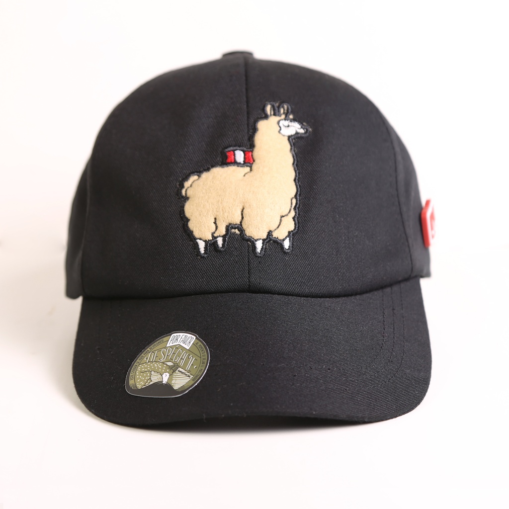 Gorras Ari