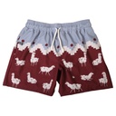 Boardshort Hombre Churi chacana vino