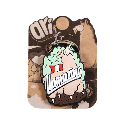 [15602] X Llavero plastico Ari