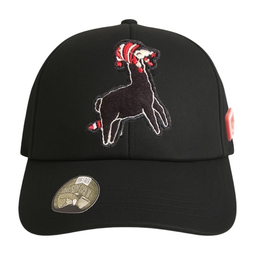 Gorras Kusi