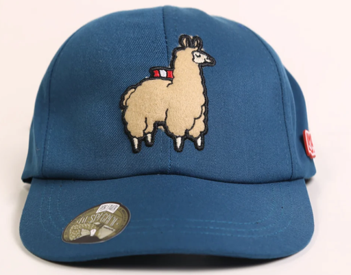 Gorras Ari