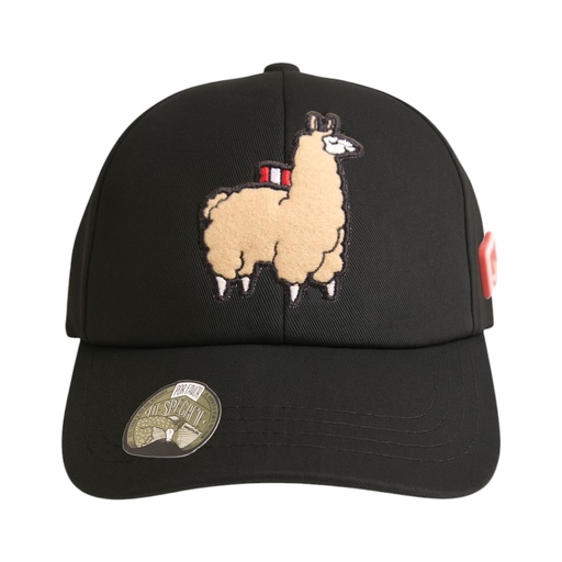 Gorras Ari