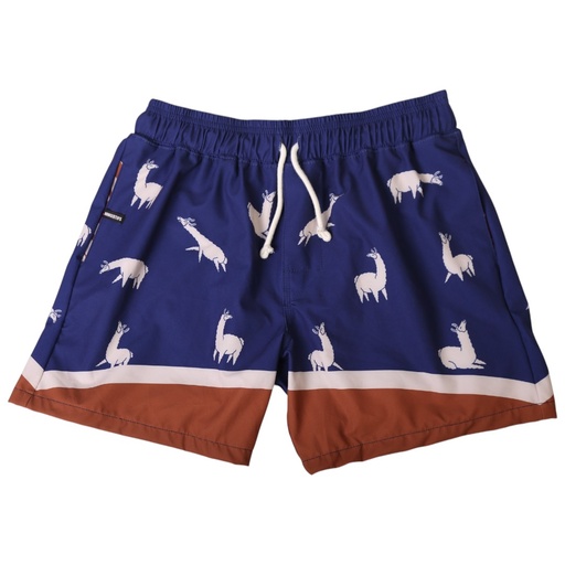 Boardshort Hombre Ari mosaico azul